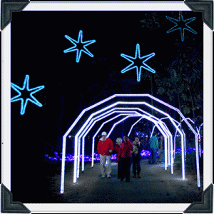 James Island Festival of Lights